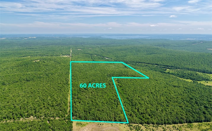 Pictures of Land property located at 60 N 4260 Road, Stigler, OK 74462 for sales - image #1