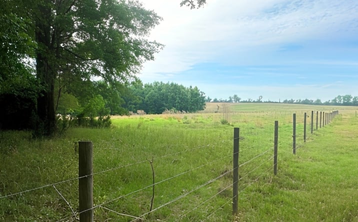 Pictures of Land property located at 1309 Jarrell Pond Road, Sylvania, GA 30467 for sales - image #1