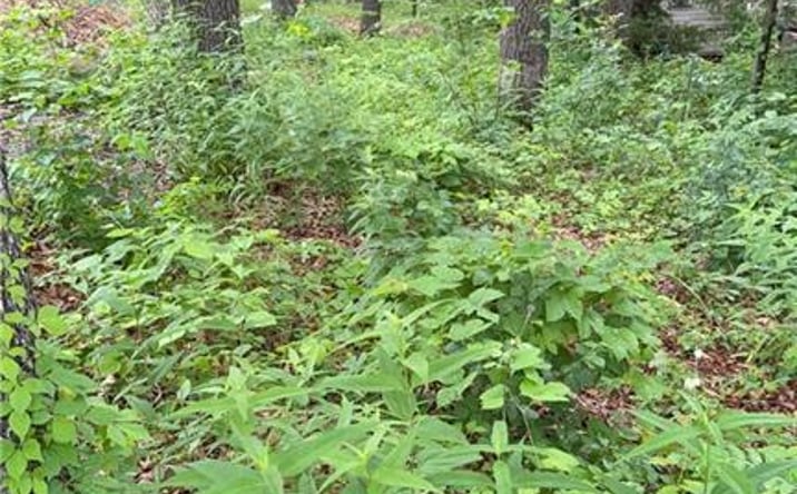 Pictures of Land, Special Purpose property located at 31186 LaVista Court, Warsaw, MO 65355 for sales - image #1