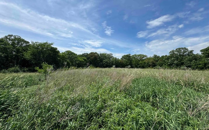 Pictures of Land property located at Magnolia Lane, Danville, IA 52623 for sales - image #1