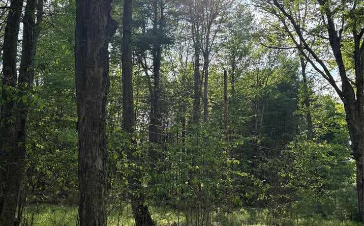 Pictures of Land property located at Lucks Road, Greenfield Park, NY 12435 for sales - image #1