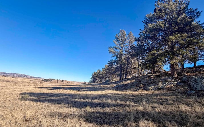 Pictures of Land property located at tbd Rocky Ford Road, Edgemont, SD 57735 for sales - image #1
