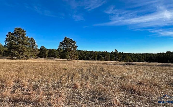 Pictures of Land property located at Lot 7 Westwind Dr, Hot Springs, SD 57747 for sales - image #1