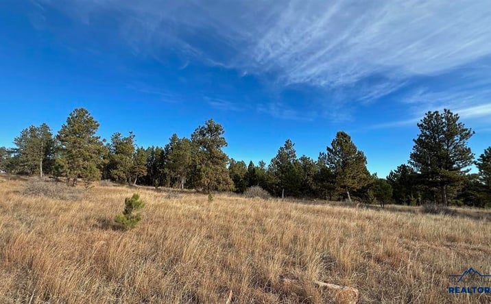 Pictures of Land property located at Lot 8 Argyle Rd, Hot Springs, SD 57747 for sales - image #1