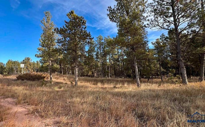 Pictures of Land property located at Lot 9 Argyle Rd, Hot Springs, SD 57747 for sales - image #1