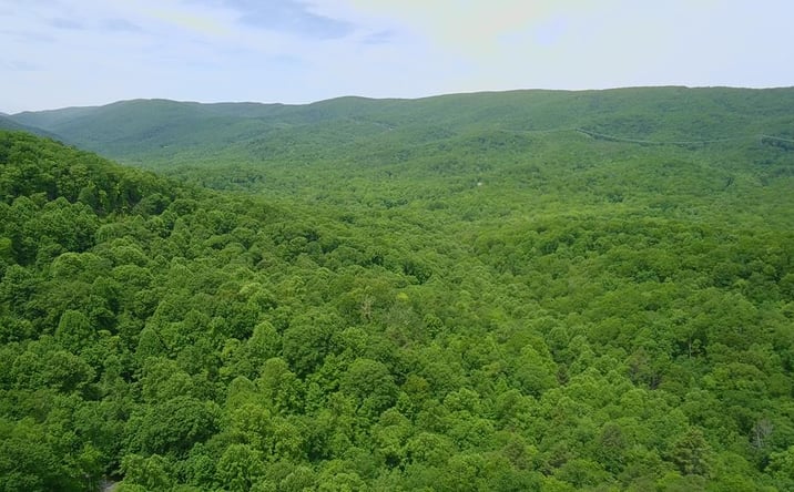 Pictures of Land, Multifamily property located at Lot 15 Cove Creek, Bastian, VA 24314 for sales - image #1