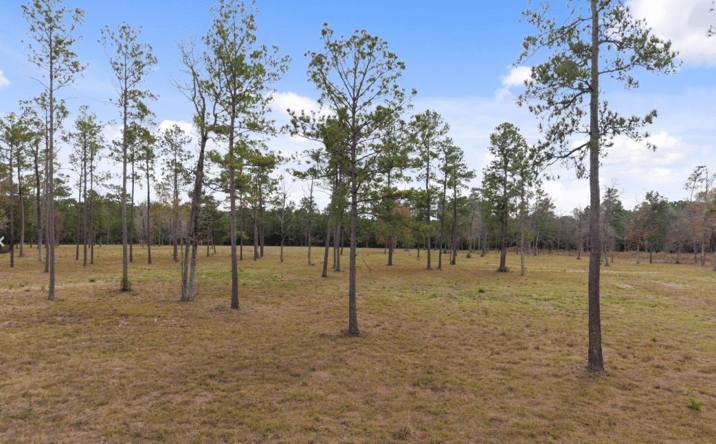 Pictures of Retail, Land property located at TBD LOT 3 FM 3152 Road, Livingston, TX 77351 for sales - image #1