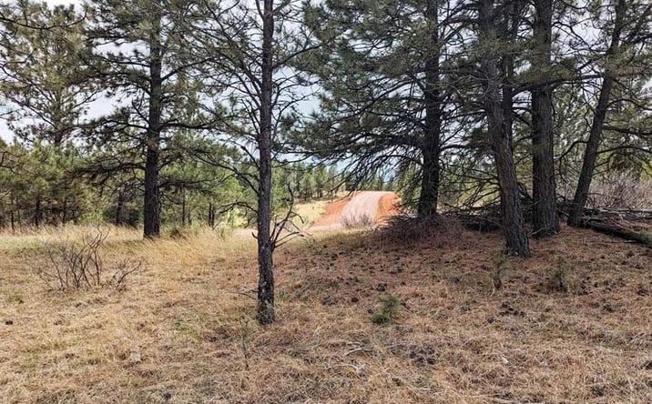 Pictures of Land property located at Lot 3 argyle rd, Hot Springs, SD 57747 for sales - image #1