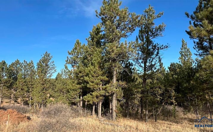 Pictures of Land property located at Lot 5 Westwind Dr, Hot Springs, SD 57747 for sales - image #1