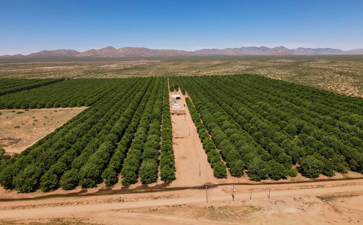 Pictures of Land property located at 4968 West Gleeson Road, Elfrida, AZ 85610 for sales - image #1