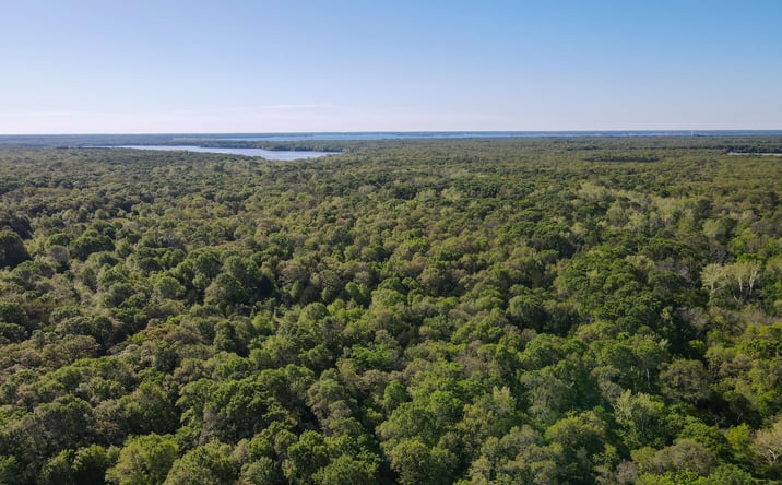 Pictures of Land property located at 3842 Farm to Market Road 2029, Telephone, TX 75488 for sales - image #1