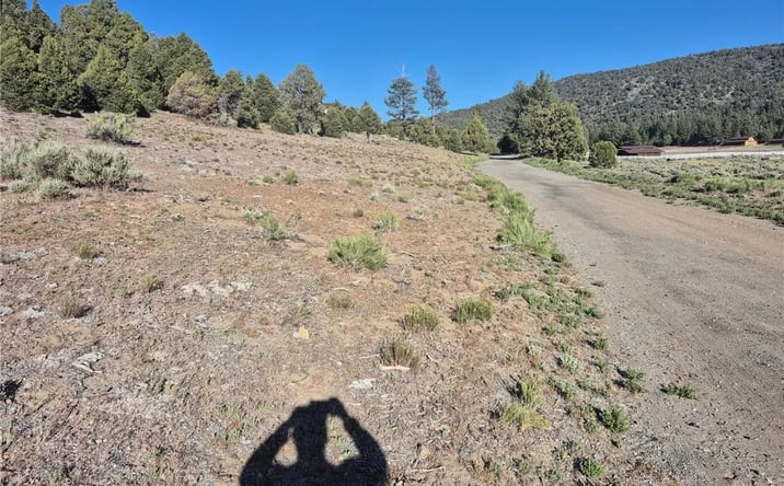 Pictures of Land property located at 2787 Erwin Ranch, Big Bear City, CA 92314 for sales - image #1