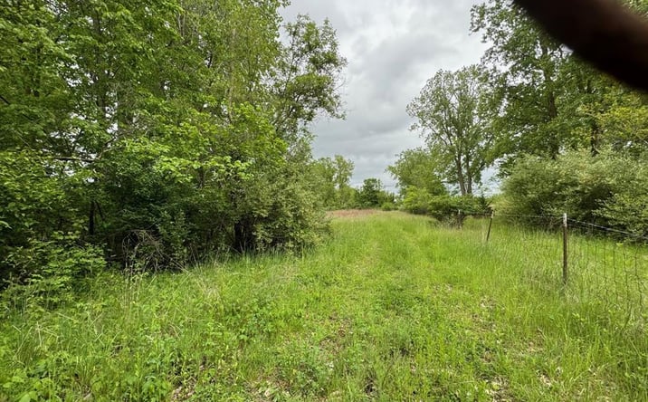 Pictures of Land property located at 0000 Oakville Waltz Rd, New Boston, MI 48164 for sales - image #1