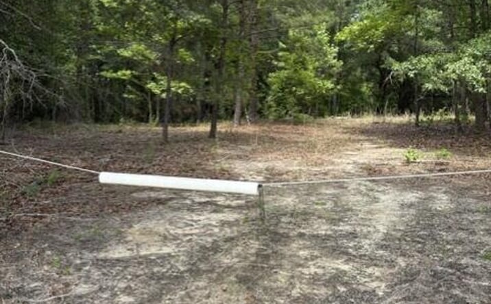 Pictures of Land, Special Purpose property located at Cemetery Road, Elko, SC 29826 for sales - image #1
