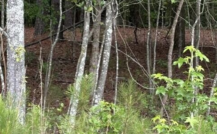 Pictures of Land, Special Purpose property located at Lot B Cemetery Road, Elko, SC 29826 for sales - image #1