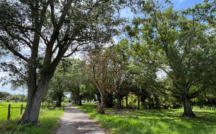 Pictures of Multifamily, Land property located at 375 & 311 County Road 720, Clewiston, FL 33440 for sales - image #1