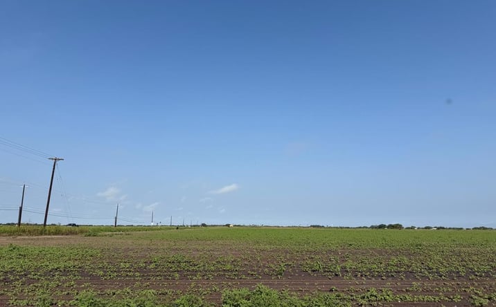 Pictures of Land, Multifamily property located at Bass Blvd., Harlingen, TX 78550 for sales - image #1