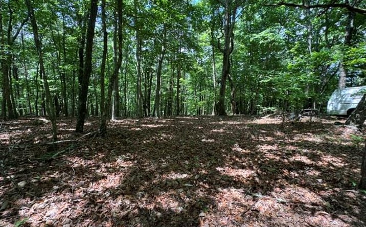 Pictures of Land property located at 154 Chill Lane, Blairsville, GA 30512 for sales - image #1