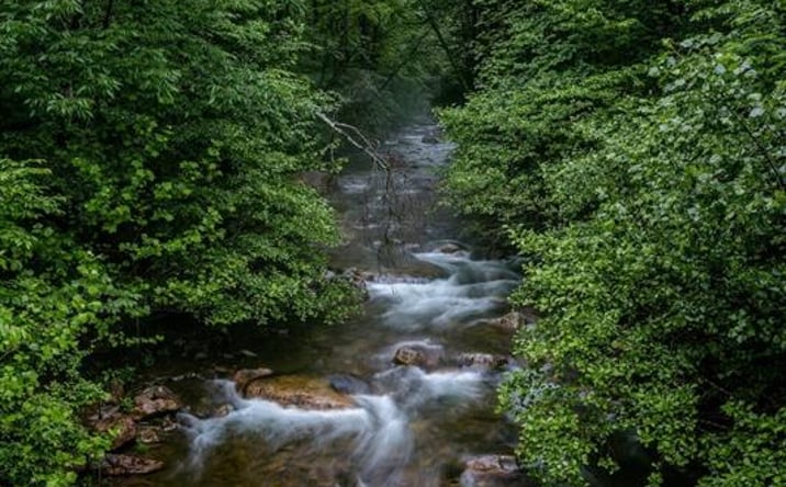 Pictures of Land property located at Lot 47 Fetterbush Lane, Hinton, VA 22831 for sales - image #1