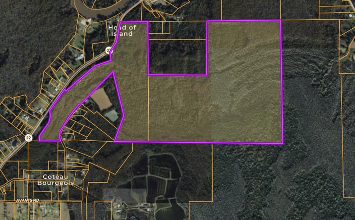 Pictures of Land property located at Vicknair Rd, Maurepas, LA 70449 for sales - image #1