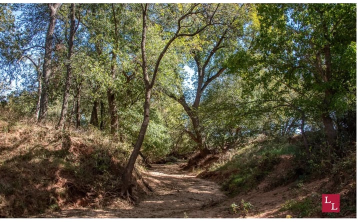 Pictures of Land property located at 35023 Porter Rd, Ringling, OK 73456 for sales - image #1