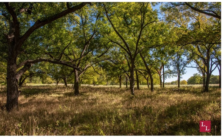 Pictures of Land property located at Rr 1 Box 54 B, Ringling, OK 73456 for sales - image #1