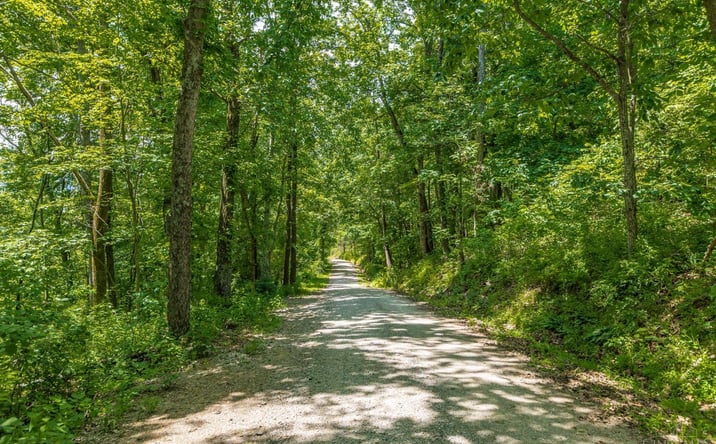 Pictures of Land property located at Coon Hollow Road, Blue Creek, OH 45616 for sales - image #1
