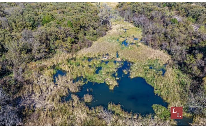 Pictures of Land property located at Old Towne Road, Thackerville, OK 73459 for sales - image #1