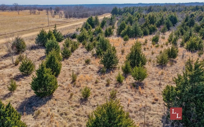 Pictures of Land property located at Center Rd, Mill Creek, OK 74856 for sales - image #1