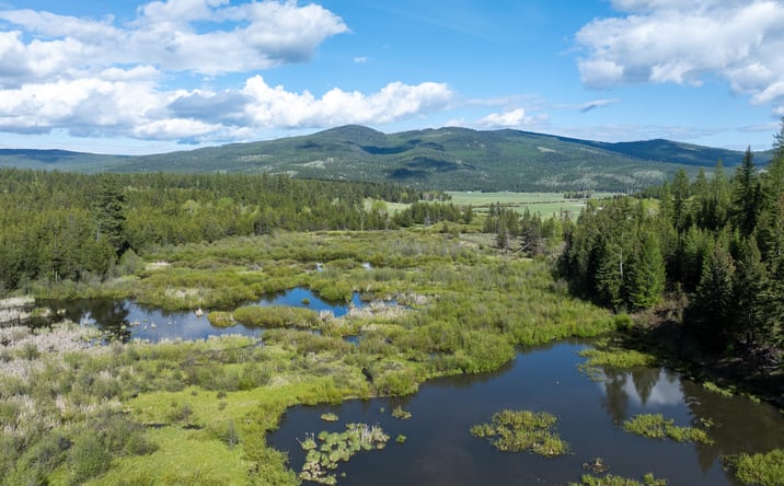 Pictures of Land property located at 3180 Browns Meadow Road, KILA, MT 59920 for sales - image #1