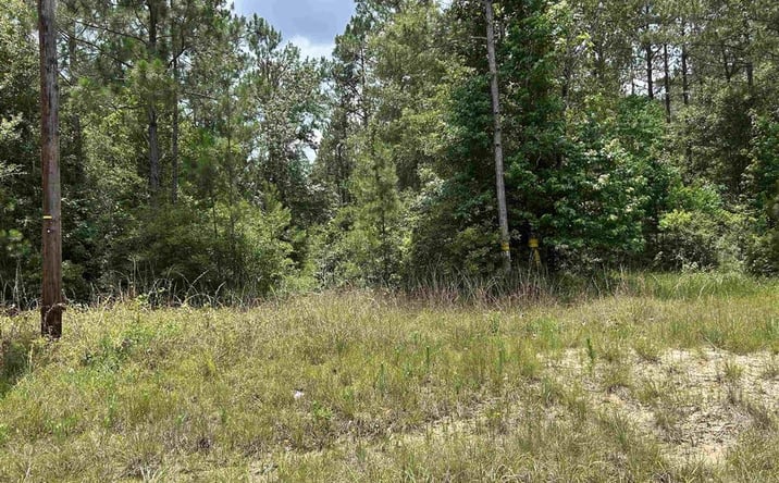 Pictures of Land, Multifamily, Special Purpose property located at Hwy 389 Highway, Merryville, LA 70653 for sales - image #1