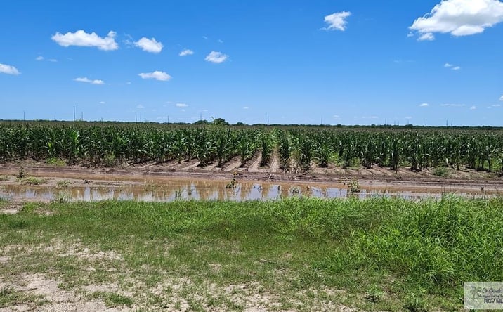 Pictures of Land, Multifamily property located at 675 Fm, San Benito, TX 78586 for sales - image #1