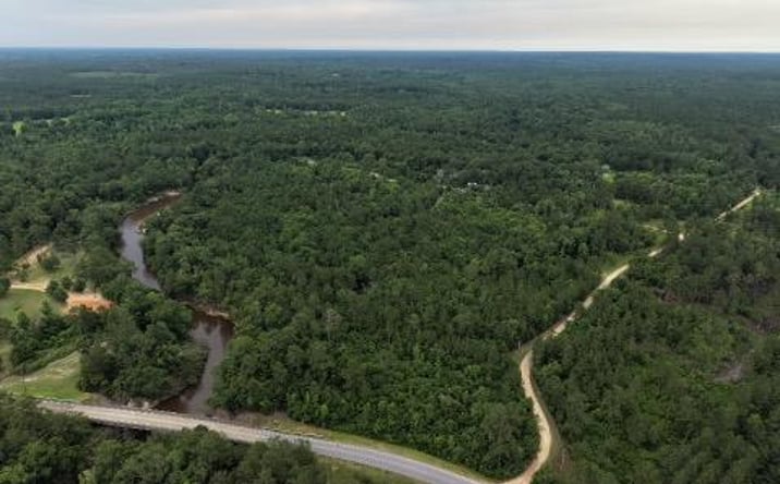 Pictures of Land, Special Purpose property located at 14+/- AC McNeill McHenry Road, Poplarville, MS 39470 for sales - image #1