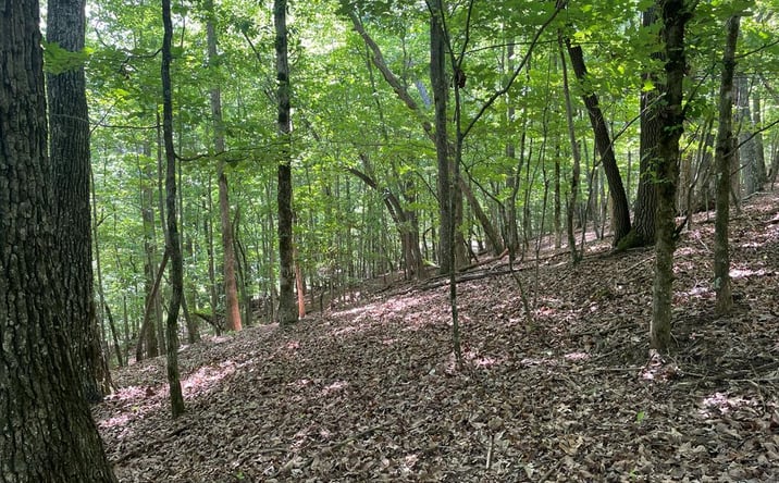 Pictures of Land property located at Lot 11 Brumby Run, Blairsville, GA 30512 for sales - image #1