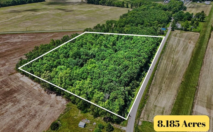 Pictures of Land property located at AC Martin Alexander Road, Eagle Twp, OH 45171 for sales - image #1