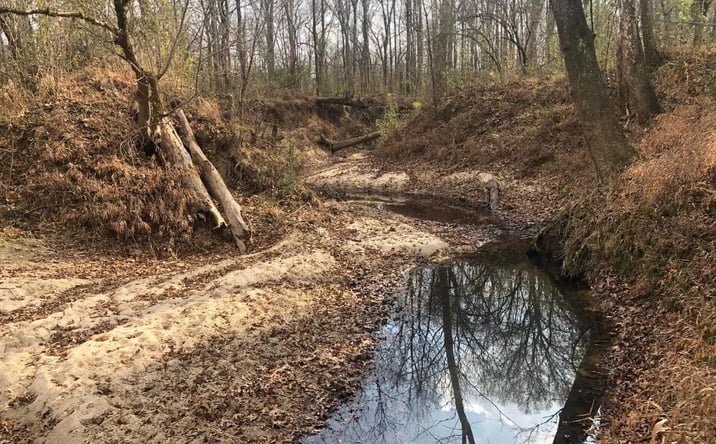 Pictures of Land property located at Tommy Ford Road, 71127, MS 39175 for sales - image #1