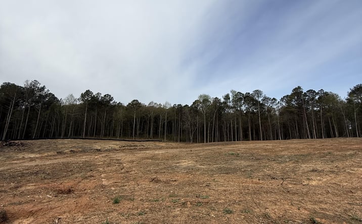 Pictures of Land property located at 0 Royston Bypass, Royston, GA 30662 for sales - image #1