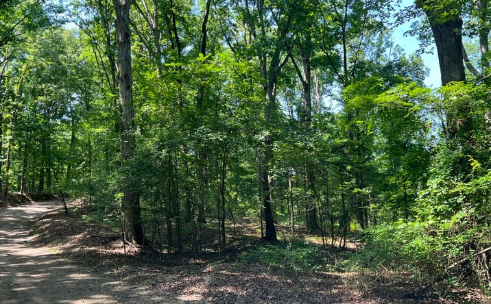 Pictures of Land property located at Cagle Trail, Henderson, TN 38340 for sales - image #1