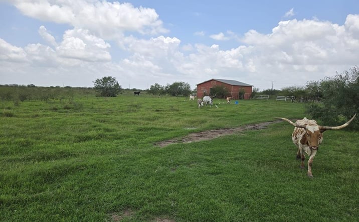 Pictures of Land, Multifamily property located at W Fm 675, San Benito, TX 78586 for sales - image #1