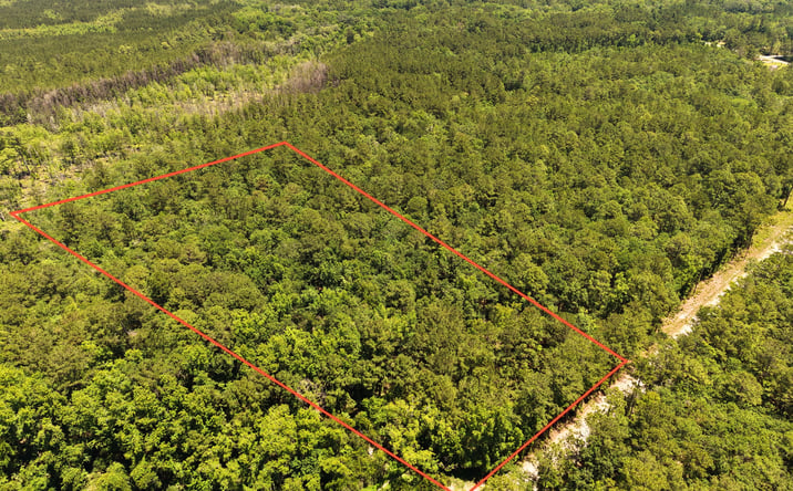 Pictures of Land property located at 12 Acres Maple Ford Road, Waverly, GA 31565 for sales - image #1