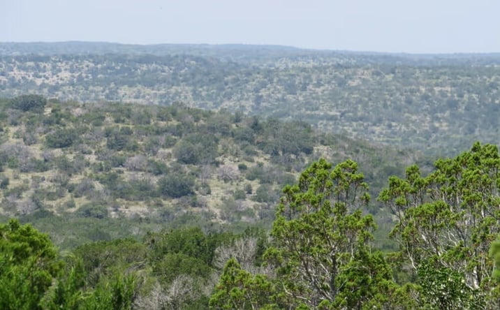 Pictures of Land property located at Dolan Crk Rd, Del Rio, TX 78840 for sales - image #1