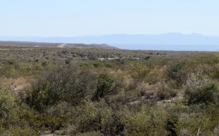 Pictures of Land property located at South of Dryden, Dryden, TX 13053 for sales - image #1