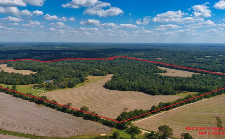 Pictures of Land property located at 695 Middleburg Rd, Hickory Valley, TN 38042 for sales - image #1