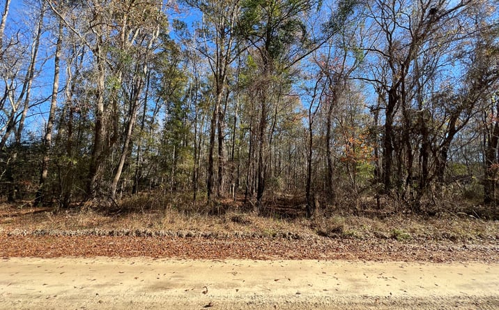 Pictures of Land property located at 0 Vancouver Rd, Bowman, SC 29018 for sales - image #1