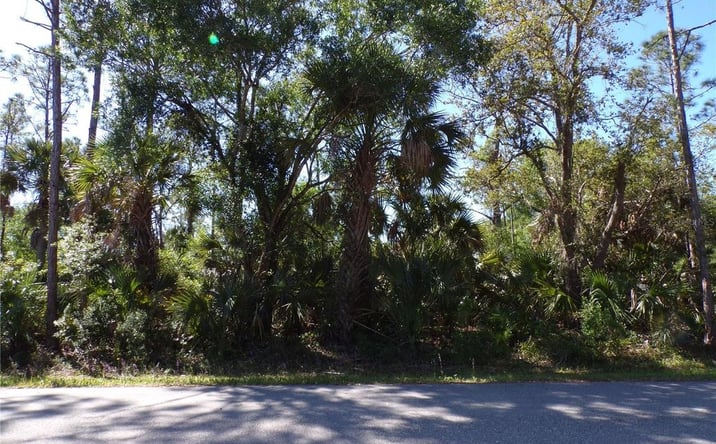 Pictures of Land property located at 26203 Custer Road, Punta Gorda, FL 33955 for sales - image #1