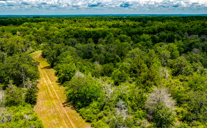 Pictures of Mixed Use, Land property located at 1470 22 HILLS RD, GAUSE, TX 77857 for sales - image #1