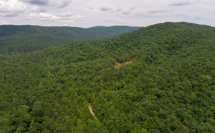 Pictures of Land property located at Tbd Polk Rd 720, Mena, AR 71953 for sales - image #1