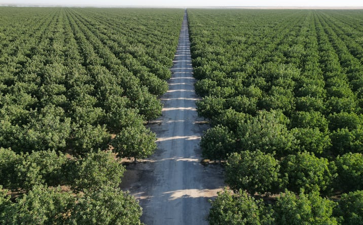 Pictures of Land property located at NEC Hwy 43 & Ave. 16, Delano, CA 93215 for sales - image #1