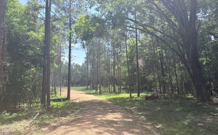 Pictures of Land property located at 468 Smith County Road 150-a, Morton, MS 39117 for sales - image #1