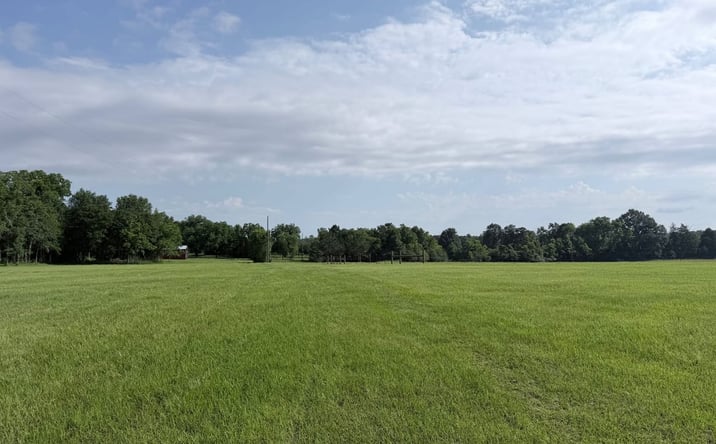 Pictures of Land property located at 106 Hollis Lane, Prentiss, MS 39474 for sales - image #1